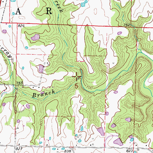 Topographic Map of Murray Branch, MO