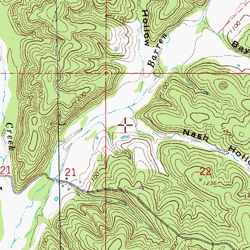 Topographic Map of Nash Hollow, MO