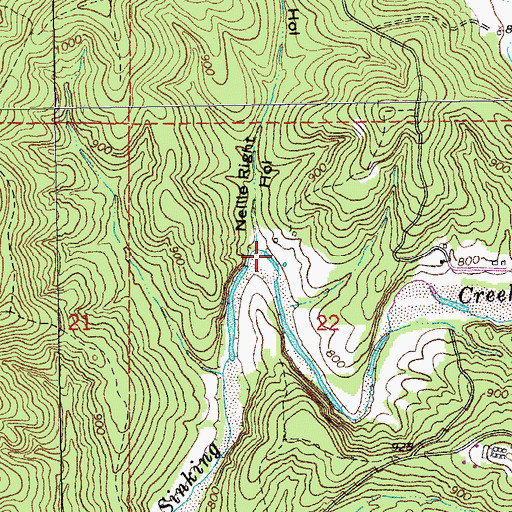 Topographic Map of Nellie Right Hollow, MO