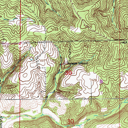 Topographic Map of Nelson School, MO