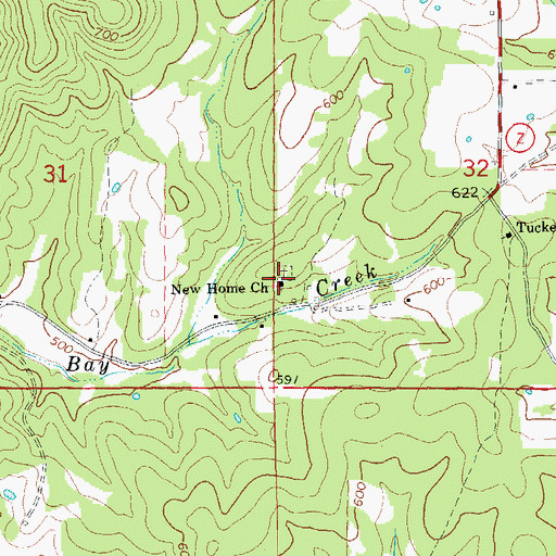 Topographic Map of New Home Church, MO
