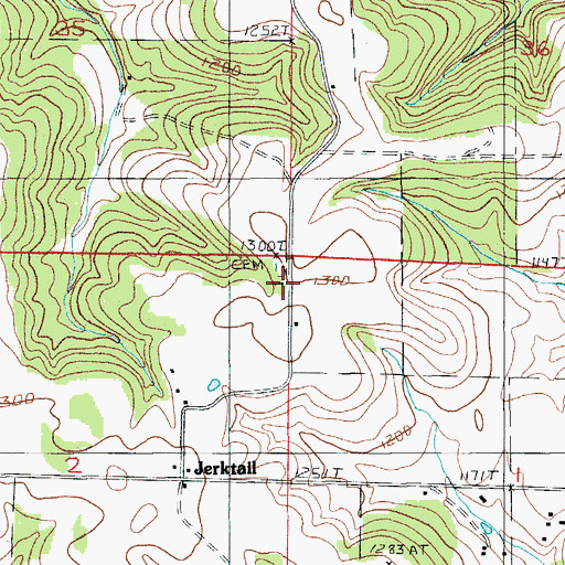 Topographic Map of New Home Church, MO