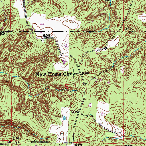 Topographic Map of New Home Church, MO