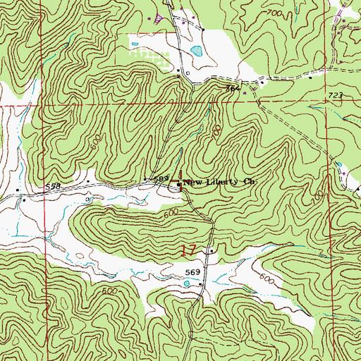 Topographic Map of New Liberty Church, MO