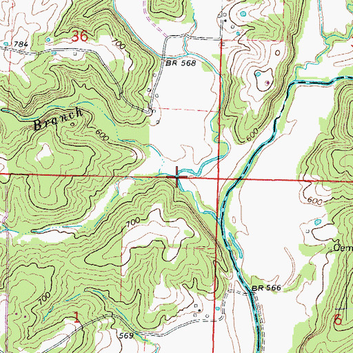 Topographic Map of Nichols Branch, MO