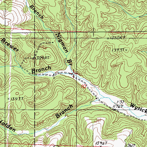 Topographic Map of Nigman Branch, MO