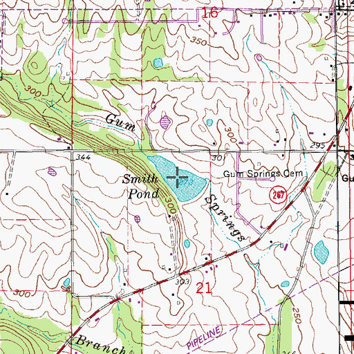 Topographic Map of Smith Pond, AR