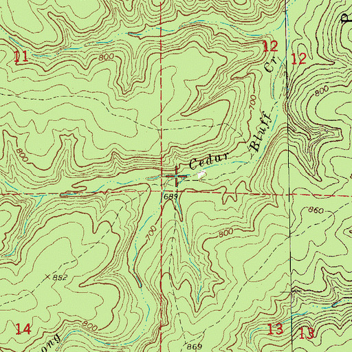 Topographic Map of North Prong Cedar Bluff Creek, MO