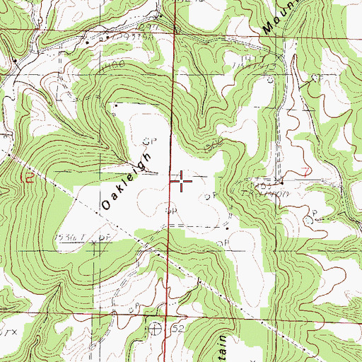 Topographic Map of Oakleigh Mountain, MO