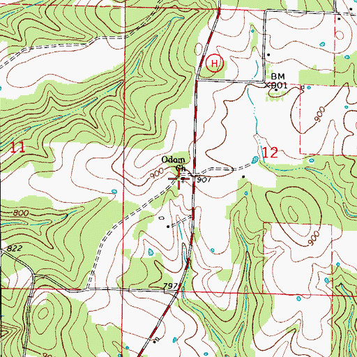 Topographic Map of Odom Church, MO