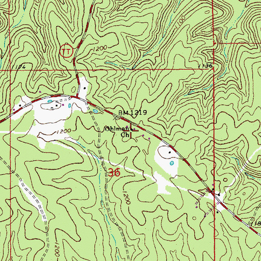 Topographic Map of Ohlman Church, MO