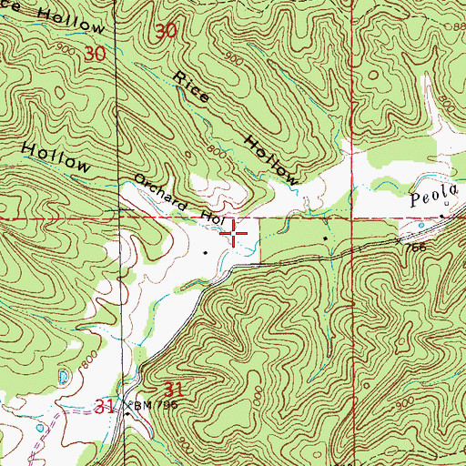 Topographic Map of Orchard Hollow, MO