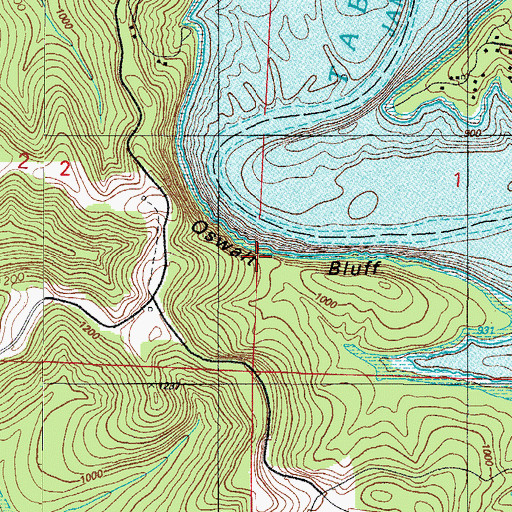 Topographic Map of Oswalt Bluff, MO