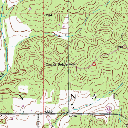 Topographic Map of Ozark School, MO