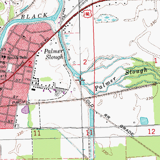 Topographic Map of Palmer Slough, MO