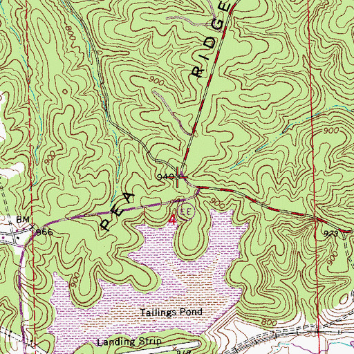Topographic Map of Pea Ridge, MO