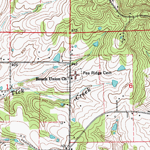 Topographic Map of Pea Ridge Cemetery, MO