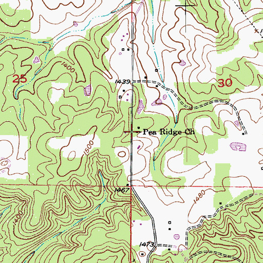 Topographic Map of Pea Ridge Church, MO