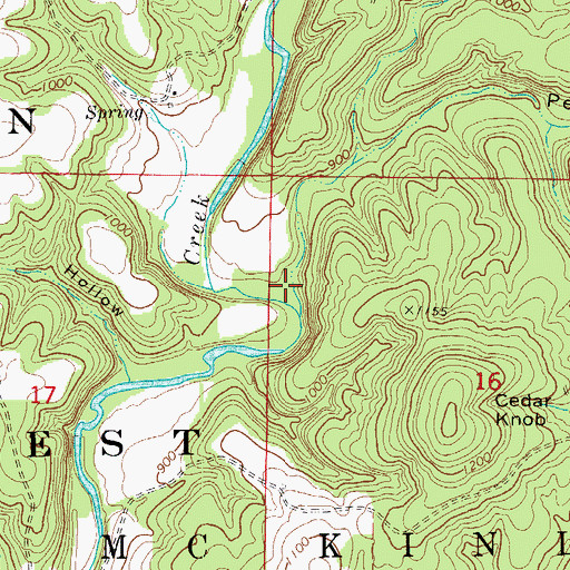 Topographic Map of Peas Hollow, MO