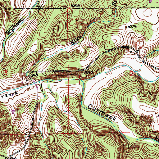 Topographic Map of Perry Branch, MO