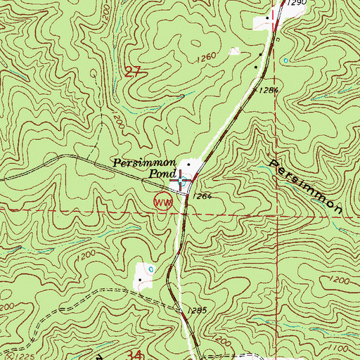 Topographic Map of Persimmon Pond, MO