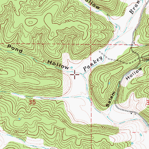 Topographic Map of Persimmon Pond Hollow, MO