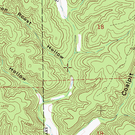 Topographic Map of Pigeon Roost Hollow, MO