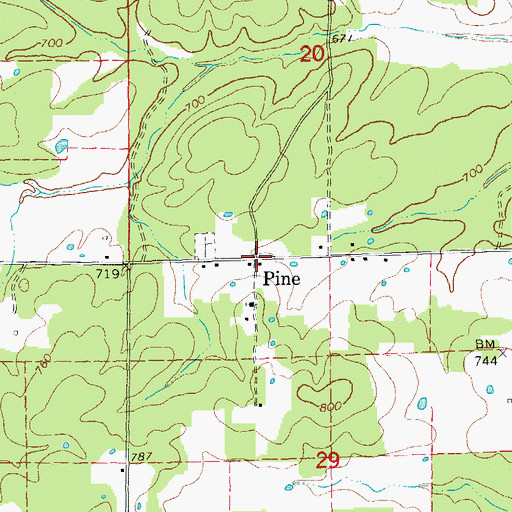 Topographic Map of Pine, MO
