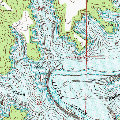 Topographic Map of Pine Branch, AR
