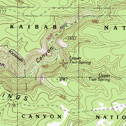 Topographic Map of Lower Two Spring, AZ