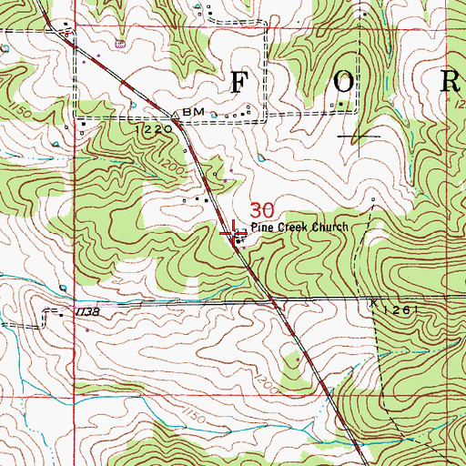 Topographic Map of Pine Creek Church, MO