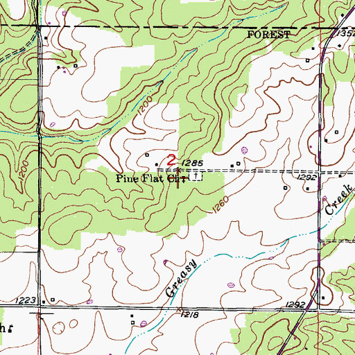 Topographic Map of Pine Flat Church, MO