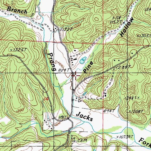 Topographic Map of Pine Hollow, MO
