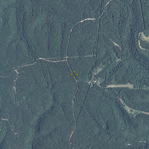 Aerial/Satellite Image of Pine Ridge, MO
