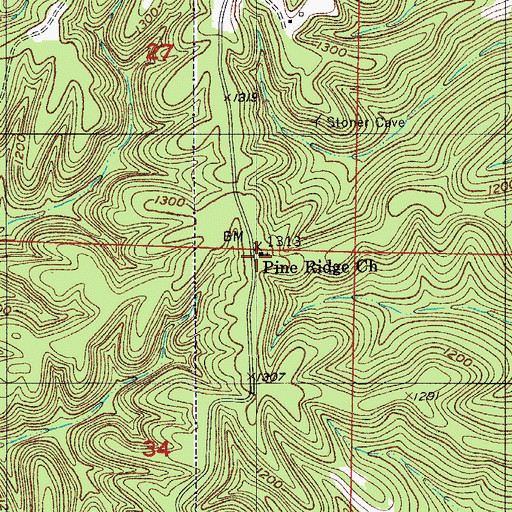 Topographic Map of Pine Ridge Church, MO