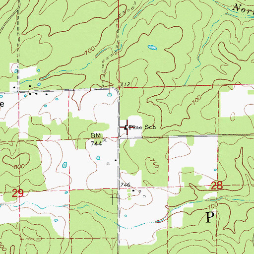 Topographic Map of Pine School, MO