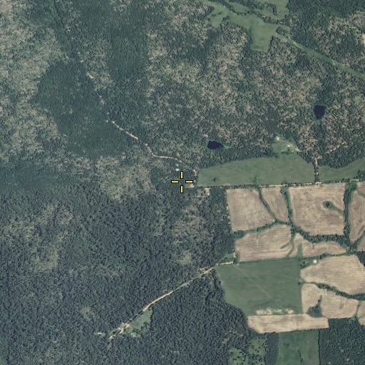 Aerial/Satellite Image of Pine Union School, MO