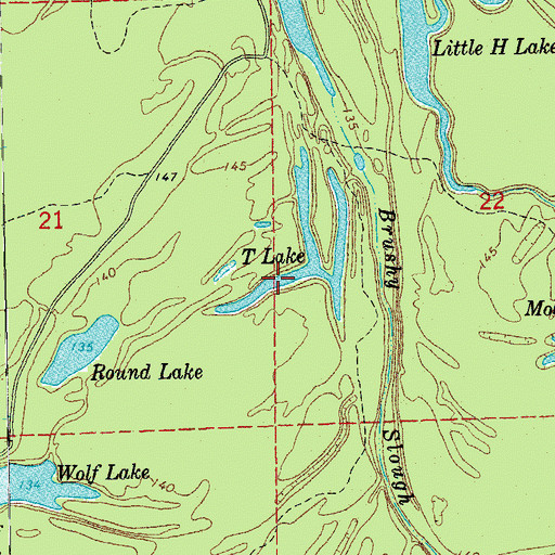 Topographic Map of T Lake, AR