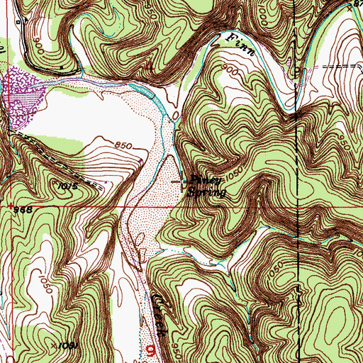 Topographic Map of Piney Spring, MO