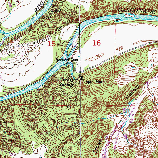Topographic Map of Pippin Place, MO