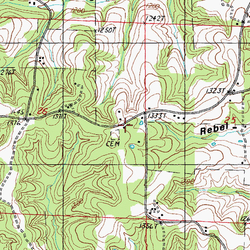 Topographic Map of Pleasant Grove Church, MO