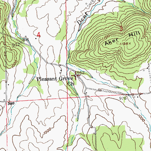 Topographic Map of Pleasant Grove Church, MO
