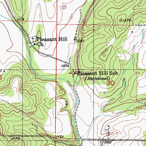 Topographic Map of Pleasant Hill School, MO
