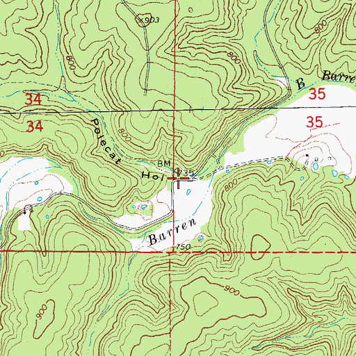 Topographic Map of Polecat Hollow, MO