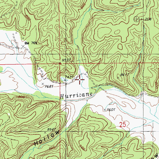 Topographic Map of Pond Hollow, MO