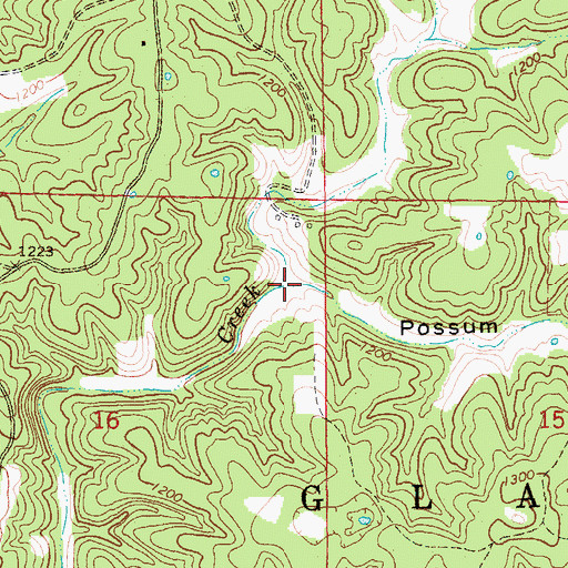 Topographic Map of Possum Trot Hollow, MO