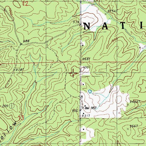 Topographic Map of Possum Trot Lookout (historical), MO