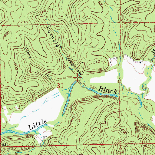 Topographic Map of Pothole Hollow, MO