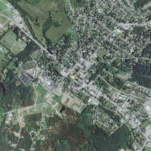 Aerial/Satellite Image of Potosi, MO