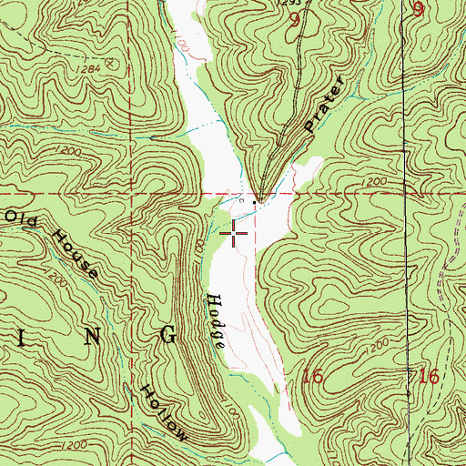 Topographic Map of Prater Hollow, MO